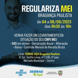 Regulariza MEI