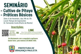 Prefeitura de Bragança Paulista promove seminário sobre cultivo de pitaya