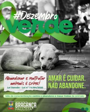 Dezembro Verde: Bragança Paulista reforça ações de conscientização contra o abandono e os maus-tratos aos animais