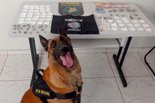 GCM e PM prendem homem em flagrante por tráfico de drogas (1)