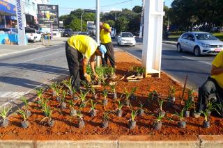 Manutenção jardins1