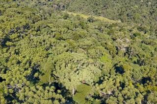21.07.2023 Prefeitura promove Oficinas de Planejamento Participativo (2)