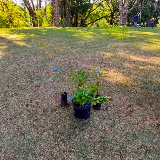Prefeitura de Bragança Paulista promove incentivo a ações de recomposição ecológica na zona rural (1)