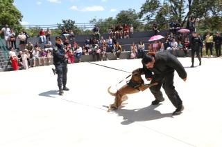 Apresemtação canil da Guarda na inauguração Praça Coronel Jacintho Osório (Praça do Matadouro)