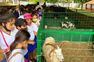 12.05.2022 Mais de 5 mil crianças da Rede Municipal de Educação visitar (2)