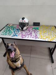 Apreensão de drogas na Penha