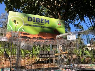 14.07.2023 Divisão do Bem-Estar Animal recebe entrega voluntária de seis aves silvestres (1)