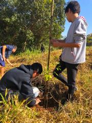 21.06.2022 Cerca de 70 árvores são plantadas em uma das ações de conscientização ambiental (1)