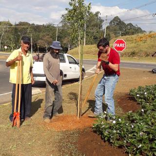 04.08.2022 Árvores são plantadas em diversos pontos da cidade (1)