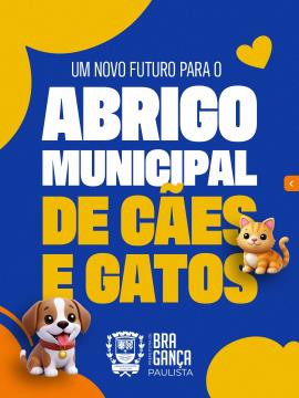 Abrigo Municipal de cães e gatos passará por reestruturação completa