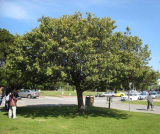 Exemplar 010512345678