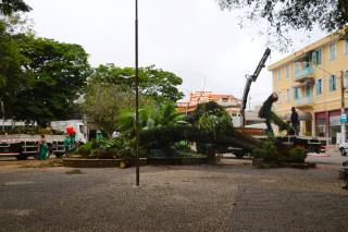 19.10.2021 Árvore comprometida cai na praça José Bonifácio (1)