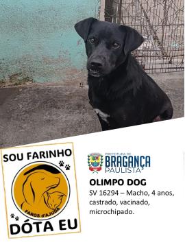 Olympo