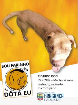Ricardo