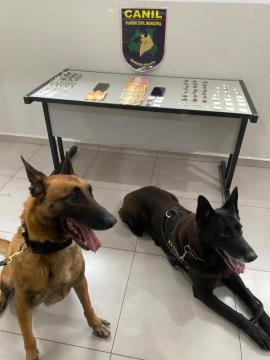 Operação Águia da Vida apreende grande quantidade de drogas