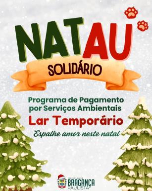 Neste Natal, Prefeitura reforça campanha de adoção e lares temporários com destaque para Atena, cadela dócil à espera de uma família