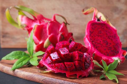 Seminário sobre cultivo de pitaya abre novas perspectivas para produtores rurais