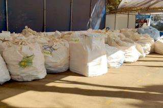 Embalagens vazias de defensivos agrícolas são recolhidas no Dia do Campo Limpo (3)