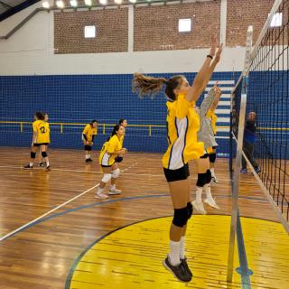 Confira os resultados da 1ª etapa do “Festival de Voleibol SEMJEL 2022” (1)