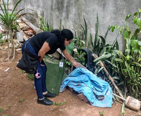 Casos de dengue caem 97% em Bragança Paulista, mas os cuidados contra o Aedes aegypti devem continuar