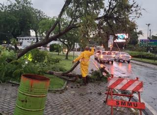 Defesa Civil divulga boletim sobre a situação das chuvas (3)