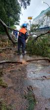Defesa Civil registra 42,6 mm de chuva e ventos de até 92 kmh 02