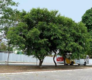 Exemplar 010412345678