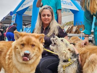 Cãominhada Lago do Taboão 02