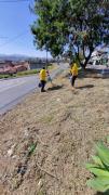 01.09.2023 Limpeza e recolhimento de galhos