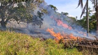 GCM de Bragança Paulista e Bombeiros controlam incêndio em área rural e prendem autor em flagrante