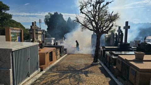 Secretaria de Serviços intensifica combate às pragas urbanas com ação de dedetização, desratização e fumacê