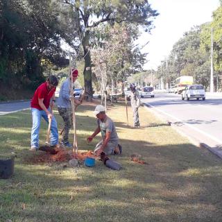 04.08.2022 Árvores são plantadas em diversos pontos da cidade (3)