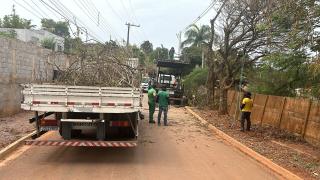 Prefeitura intensifica serviços de poda de árvores em áreas públicas de Bragança Paulista (4)