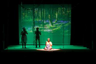 Teatro Fauno e Flora - Protegendo a Natureza levou educação ambiental para o público3
