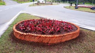 22.08.2022 Canteiros dos flores são destaques em vários pontos da cidade (3)