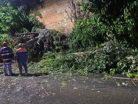 Chuva intensa atinge a cidade e mobiliza Defesa Civil