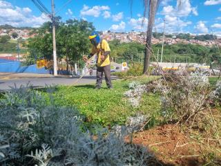 Prefeitura de Bragança por meio das zeladorias municipais intensificam os serviços d (4)