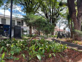 Novo paisagismo Praça do Rosário 03