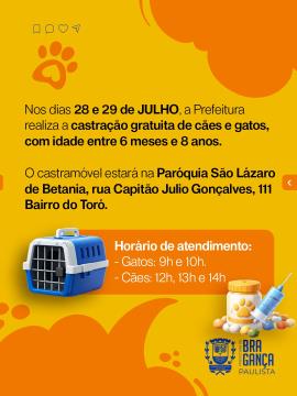 arte 03