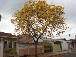 Exemplar 010912345678