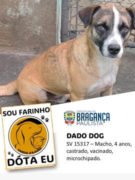 Dado