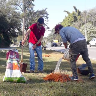 04.08.2022 Árvores são plantadas em diversos pontos da cidade (4)