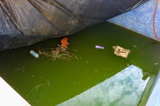 Vigilância Sanitária e Epidemiológica realizam inspeção em residência no bairro Jardim Califórnia (4)