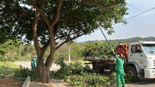 Prefeitura intensifica serviços de poda de árvores em áreas públicas de Bragança Paulista