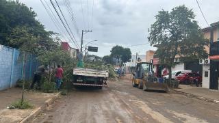 Comerciantes aprovam serviços de lavagem, limpeza e poda de árvores na Avenida Eusébio Savaio (5)