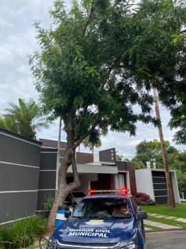 Monitoramento e ação rápida marcam rotina de proteção no município