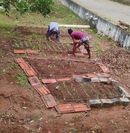SEMADS executa projeto de Horta Socioeducativa para Pessoas em Situação de Rua no Serviço Especializado em Abordagem Social (SEAS)