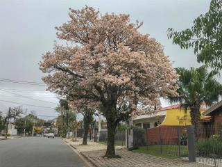 Exemplar 010712345678