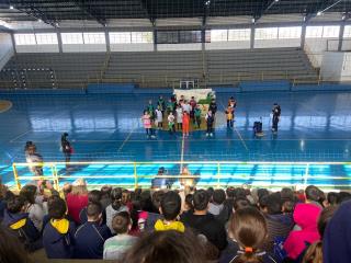 Atividades de Arte e Meio Ambiente