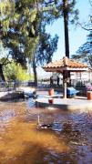 Inauguração do Jardim Público atrai centenas de visitantes (9)